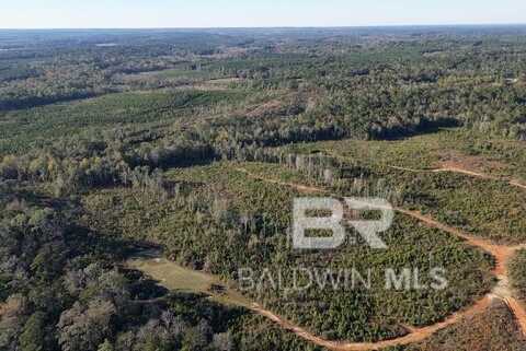 0 Mt Carmel Road, Millry, AL 36558