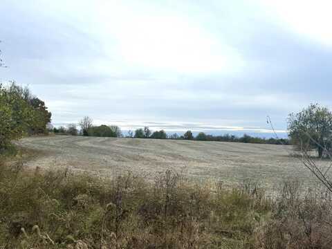 Lot 2 Lawrence 2160, Marionville, MO 65705