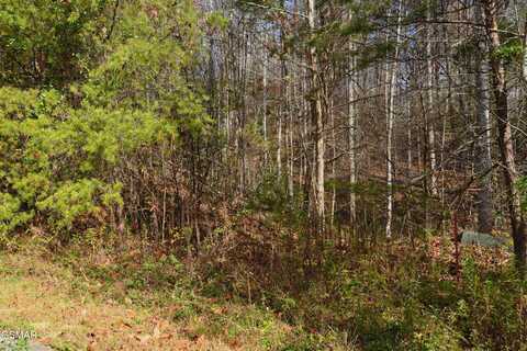 Lot 3 Legend Drive, Sevierville, TN 37876