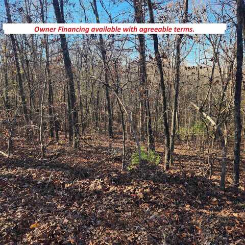 L63-64 B-11 Miami Trace, Cherokee Village, AR 72529