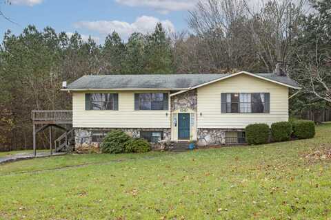 254 Twin View Drive, Spring City, TN 37381