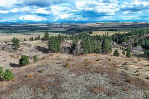 Tbd Over Yonder Road, CottonWood, ID 83522