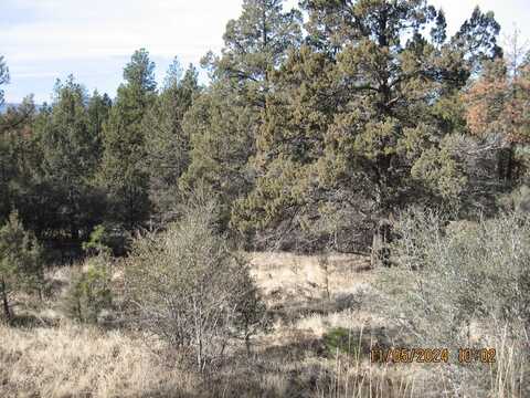 Lot 7 Warbler Drive, Bonanza, OR 97623