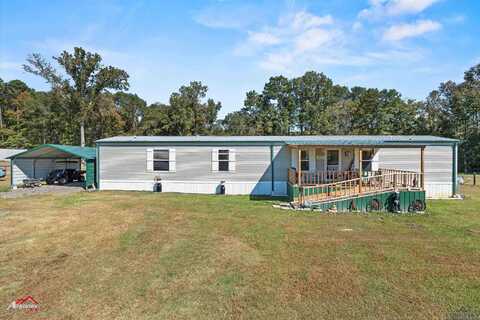 185 County Road 174, Long Branch, TX 75669