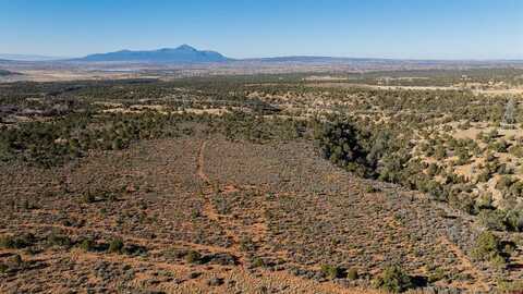 TBD Road L, Mancos, CO 81328