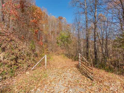 0 McNary Drive, Clyde, NC 28721