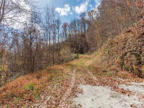 Lot 5 McNary Drive, Clyde, NC 28721