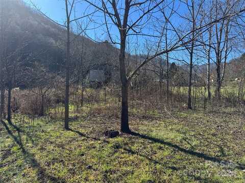 303 Warren Creek Road, Candler, NC 28715