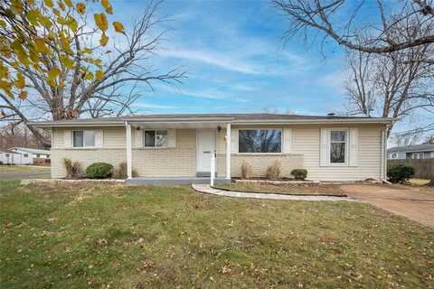 475 Jana Drive, Florissant, MO 63031