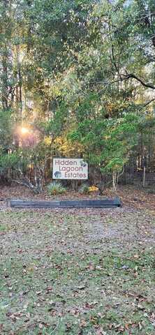 Lot 33 Hidden Lagoon Estates, Ft. Gaines, GA 39851