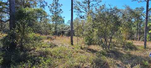 Lots 34 & 35 SW MANGO LANE, DUNNELLON, FL 34431