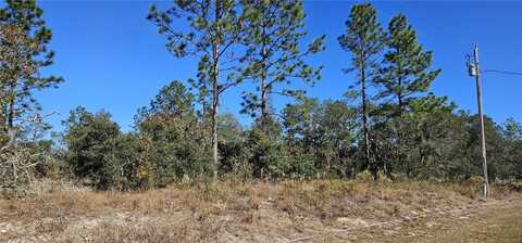 Lot 10 SW NECTARINE LANE, DUNNELLON, FL 34431