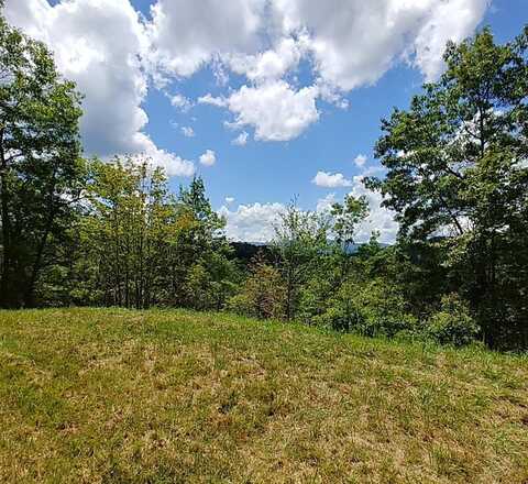 Lot 36 Mystic Forest, TOPTON, NC 28781