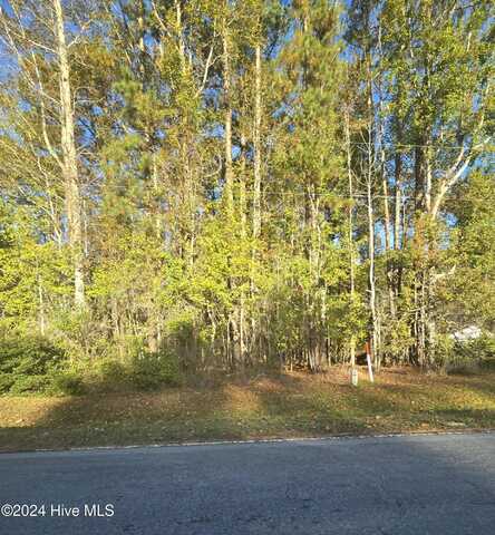 10 Hollis Drive, Blounts Creek, NC 27814