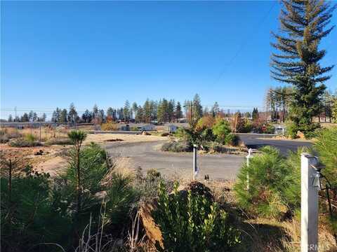 1095 Fairview Drive, Paradise, CA 95969