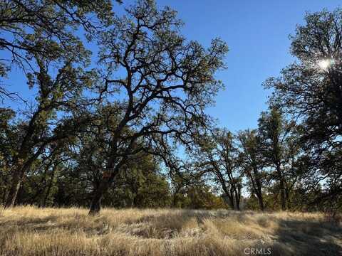 17333 Wagon Wheel Road, Corning, CA 96021