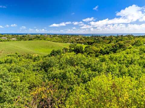 HULUIA RD, KAPAA, HI 96746