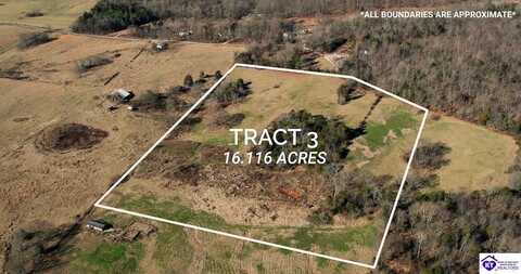 TRACT 3 North Dixie Hwy, Horse Cave, KY 42749