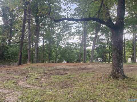 18943 Al Hwy 33, Moulton, AL 35650