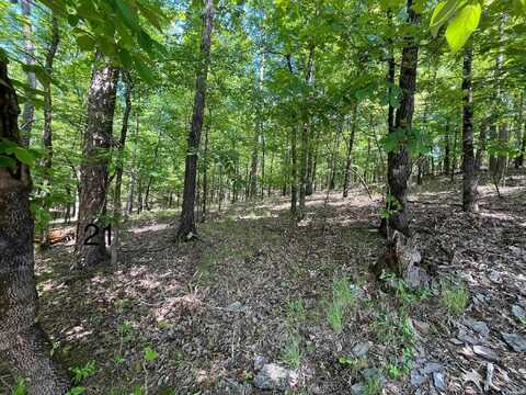 Lot 21 WATERVIEW Drive, Hot Springs, AR 71913