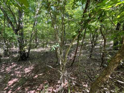 Lot 20 WATERVIEW Drive, Hot Springs, AR 71913