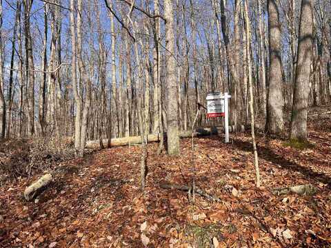 TBD Beech Street, Belington, WV 26283
