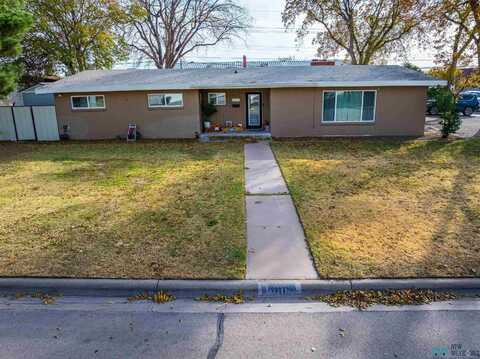 1111 W Ural Drive, Carlsbad, NM 88220