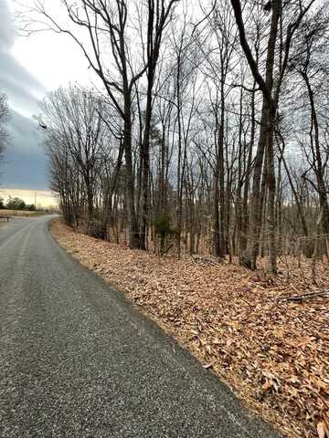 0-Tract C Swan Creek Road, Gladys, VA 24554