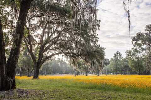 10795 SE 25TH AVENUE, OCALA, FL 34480