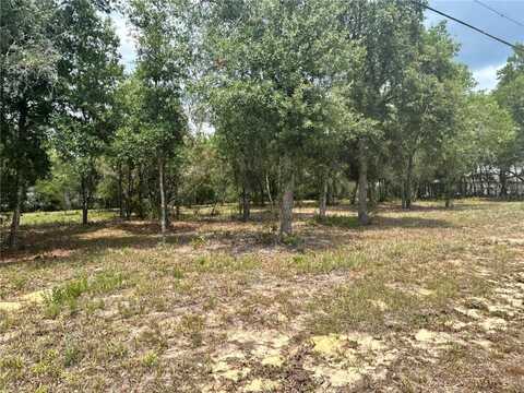 787 E SAVOY STREET, LECANTO, FL 34461