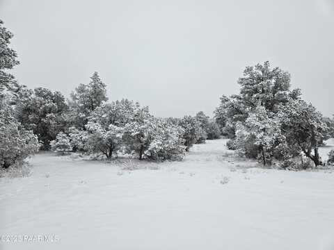 365 Big View, Ash Fork, AZ 86320