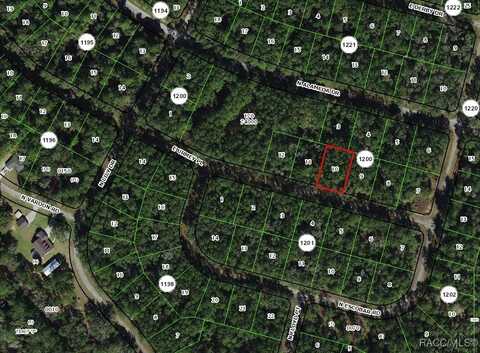 1345 E Urmey Place, Citrus Springs, FL 34434