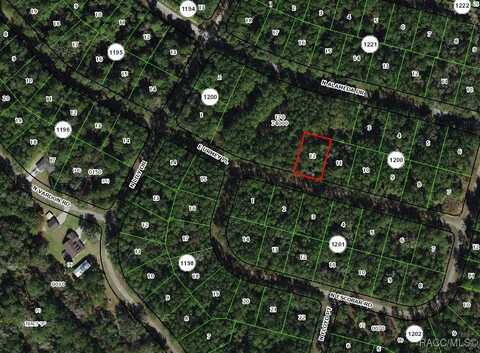 1311 E Urmey Place, Citrus Springs, FL 34434