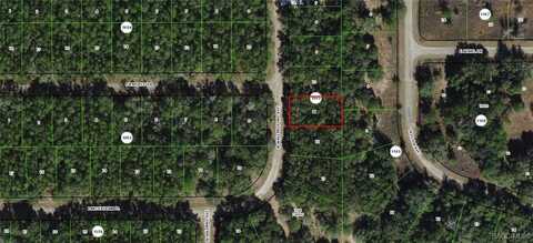 8329 N Wallingford Avenue, Citrus Springs, FL 34434