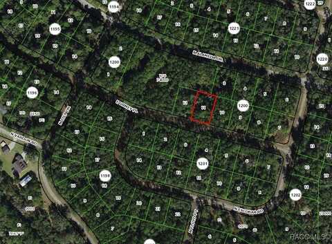 1327 E Urmey Place, Citrus Springs, FL 34434