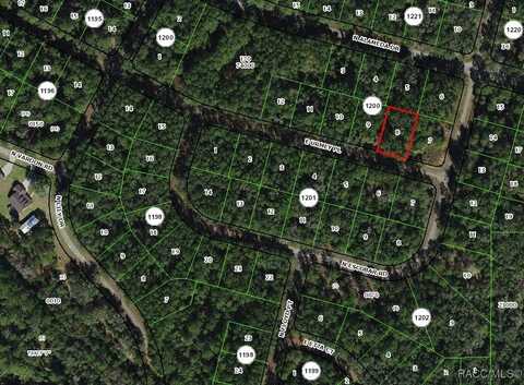 1389 E Urmey Place, Dunnellon, FL 34434