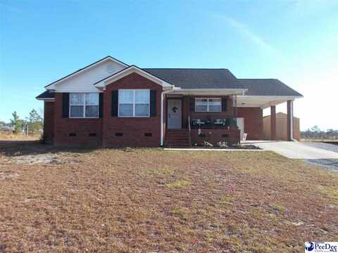 204 Hill Top Ln, Hartsville, SC 29550