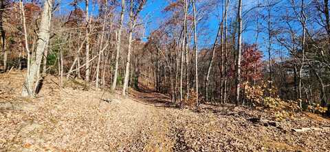 0 Briar Mountain RD, Rocky Mount, VA 24151