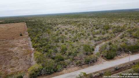 Tbd CR 421, Christine, TX 78012