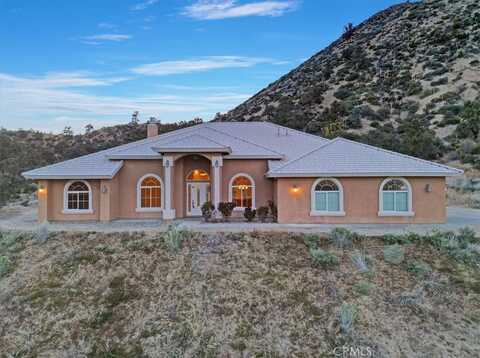 7800 Buena Vista Road, Wrightwood, CA 92397