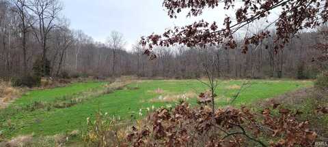 220+/- Acres Witt Road, Shoals, IN 47581