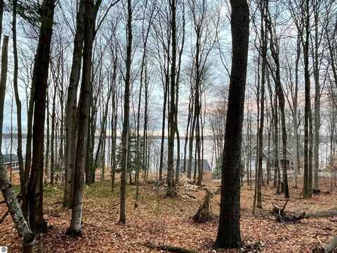 00 Treetops Lane, Frankfort, MI 49635