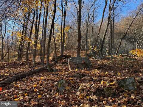 WILKES STREET EXTENDED, BERKELEY SPRINGS, WV 25411