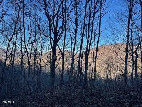 Lot 13 Eagle Ridge Road, Roan Mountain, TN 37687