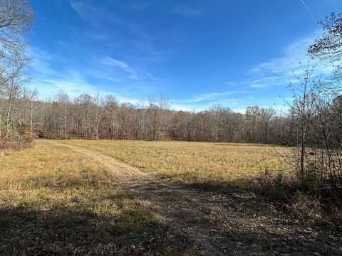 OFF OF SULPHUR CREEK RD, BIG SANDY, TN 38221