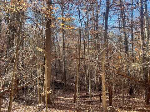 0 River Road W. Lot 2, Maidens, VA 23102