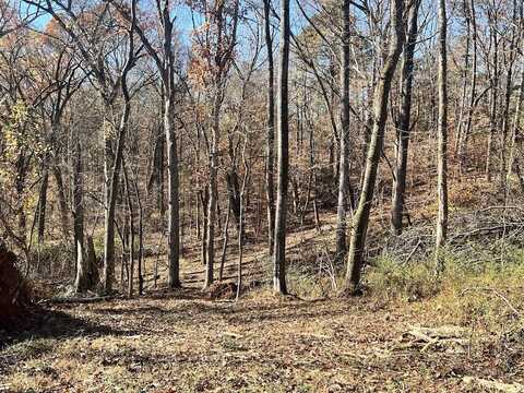 0 River Road W. Lot 4, Maidens, VA 23102