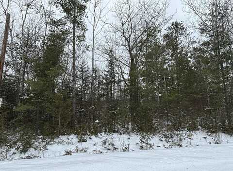 Lot 115 Bonita Drive, Presque Isle, MI 49777