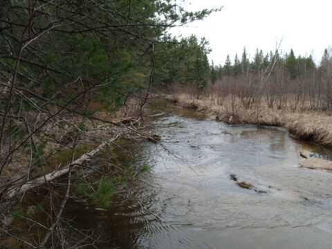 Spikehorn Trail, Indian River, MI 49749