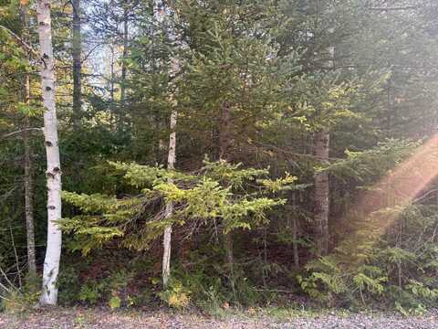 Lot 202 Sunaqua Drive, Presque Isle, MI 49777